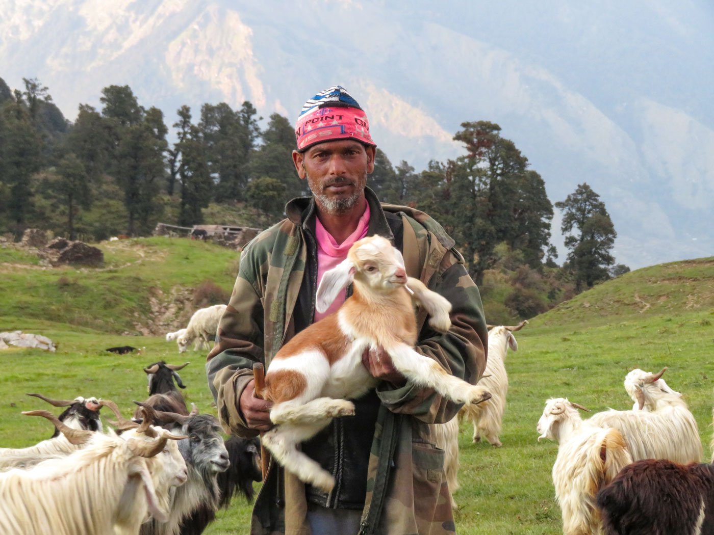In this region of the Himalayas, shepherds brave the wet and cold weather to graze their sheep and goats. They also protect them from wild animals on the Gangotri range where they live for up to nine months a year