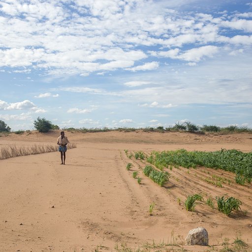 Man walking in a desert