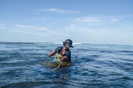 تمل ناڈو کی سمندری کائی جمع کرنے والی خواتین