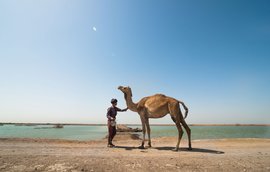 Kachchh camel herders: lockdown last straw?