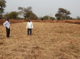 Chhattisgarh farmers are on the brink
