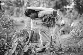 काम ही काम, महिलाएं गुमनामः सहेजतीं घर और अपना जीवन (पैनल 6)