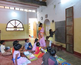 The forest in Shanthi Teacher’s classroom