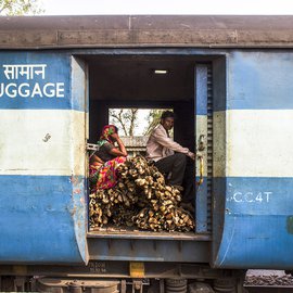 An Adivasi couple travelling with their firewood