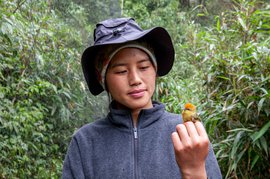 Arunachal’s birds: canary in the coalmine