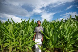 तमिलनाडु: किसान तिरुमूर्ति और उनकी हल्दी का खिला रंग