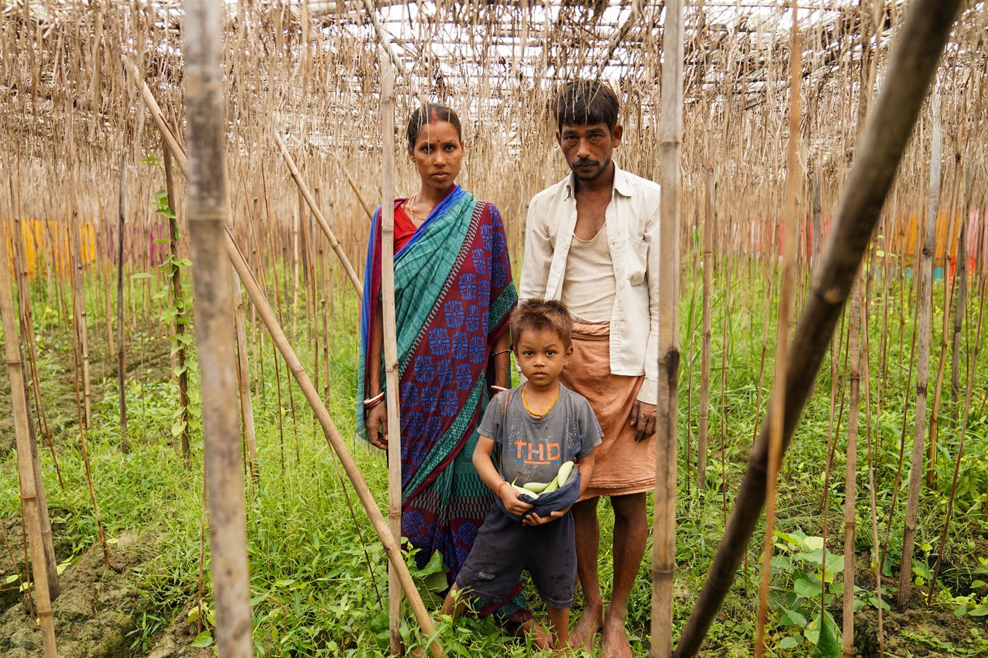 Betel leaf farmers, Karuna Devi and Sunil Chaurasia in their bareja . Their son holding a few gourds grown alongside the betel vines, and the only crop (for their own use) that survived