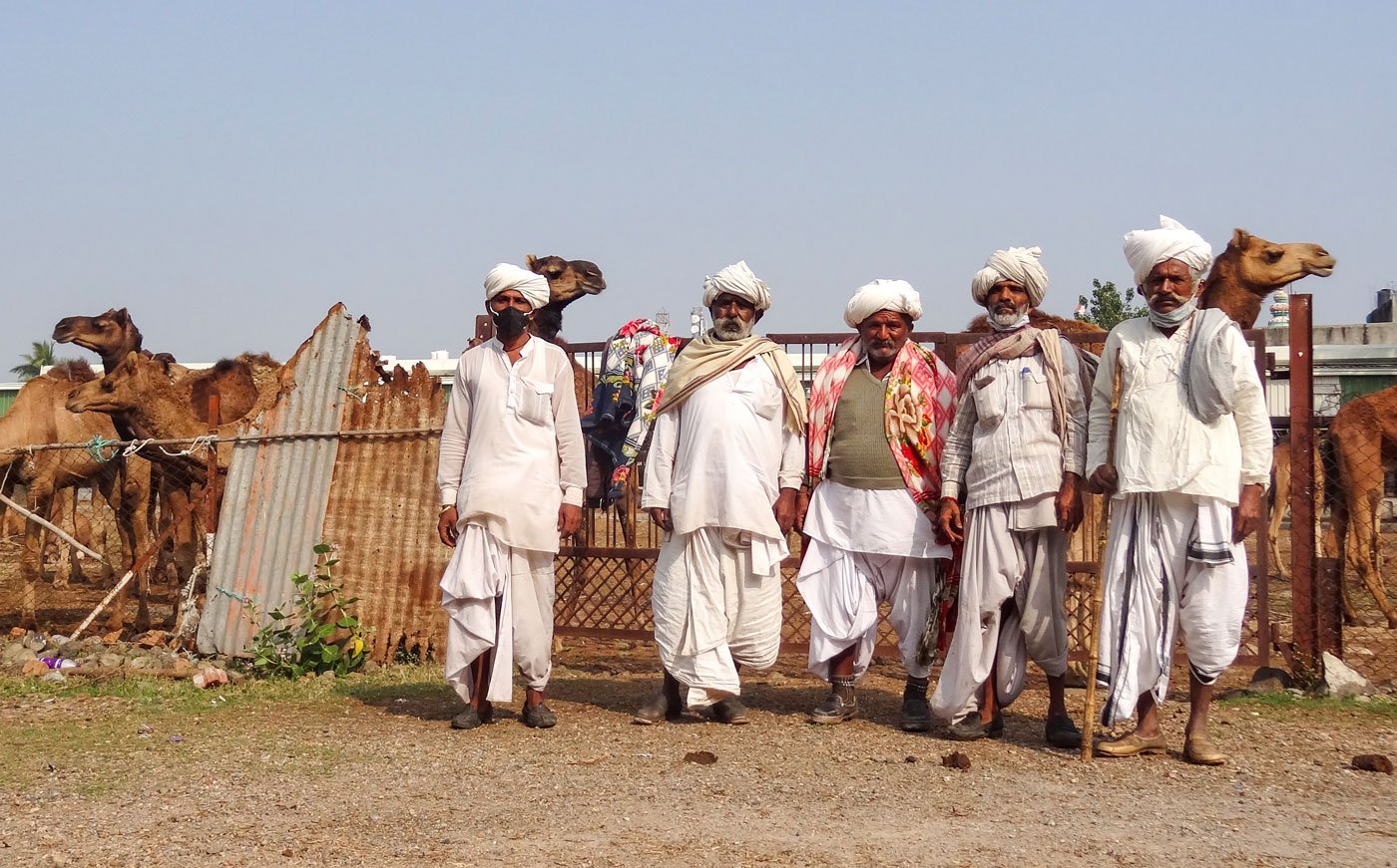 Rabari pastoralists camping in Amravati to help secure the release of the detained camels and their herders