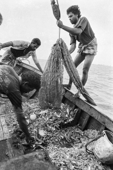 Out on a two-night trip with fishermen off the coast of Ramnad district in Tamil Nadu, who toil, as they put it, 'to make someone else a millionaire'
