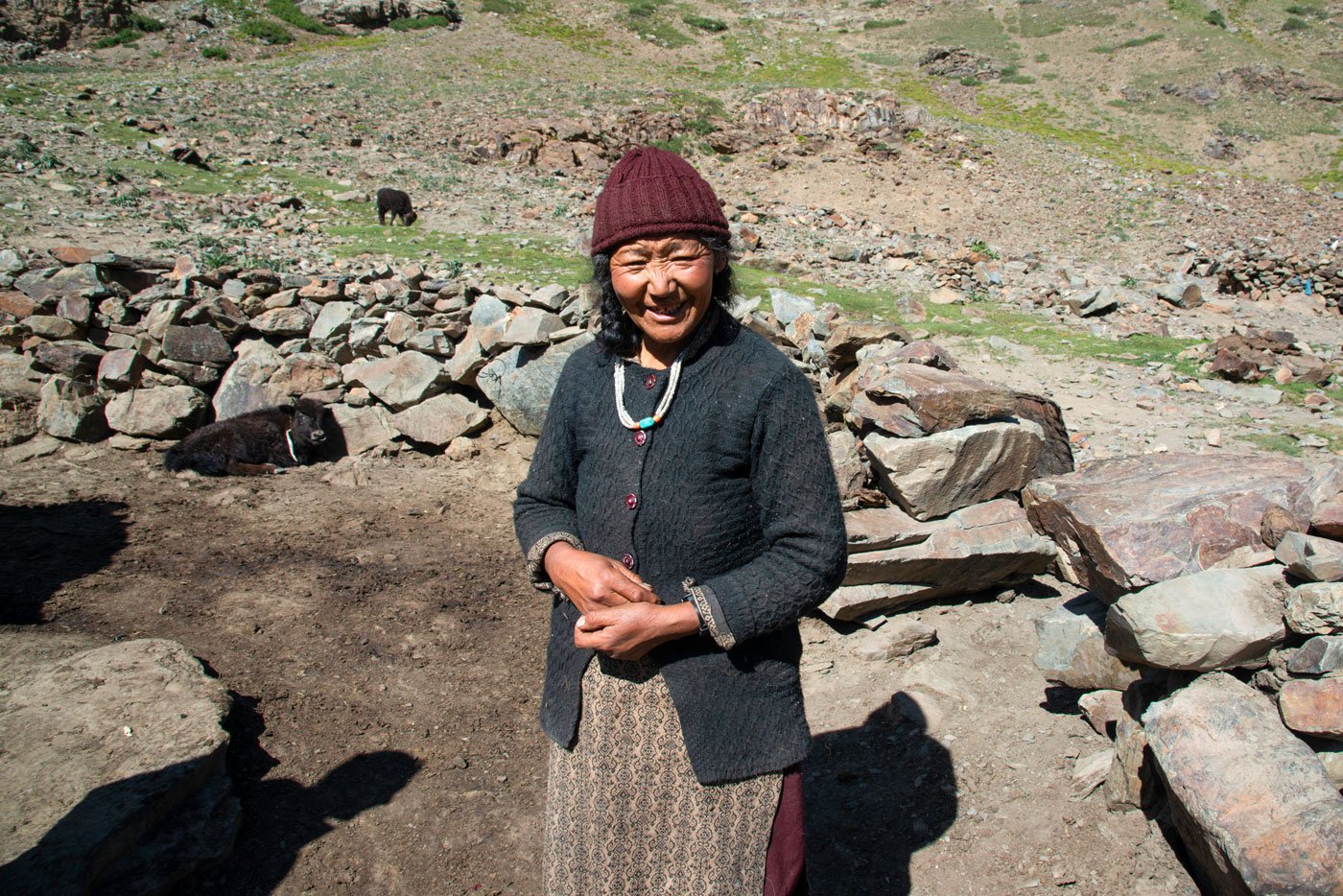 Padma Thumo has been a yak herder for more than 30 years in Abran village in Kargil district of Ladakh