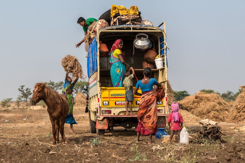 Left: Some families hire vans to fit in their entire world as they migrate – their belongings, children, sheep and goats are all packed in. Bigger animals like horses are taken on foot separately to the new destinations. Right: Some families still journey on bullock carts. This is around Chachadi village in Parasgad block of Belagavi district