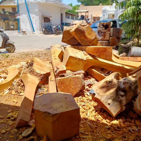 Left: Logs of jackfruit wood roughly cut at the saw mill wait for their turn to become a veenai