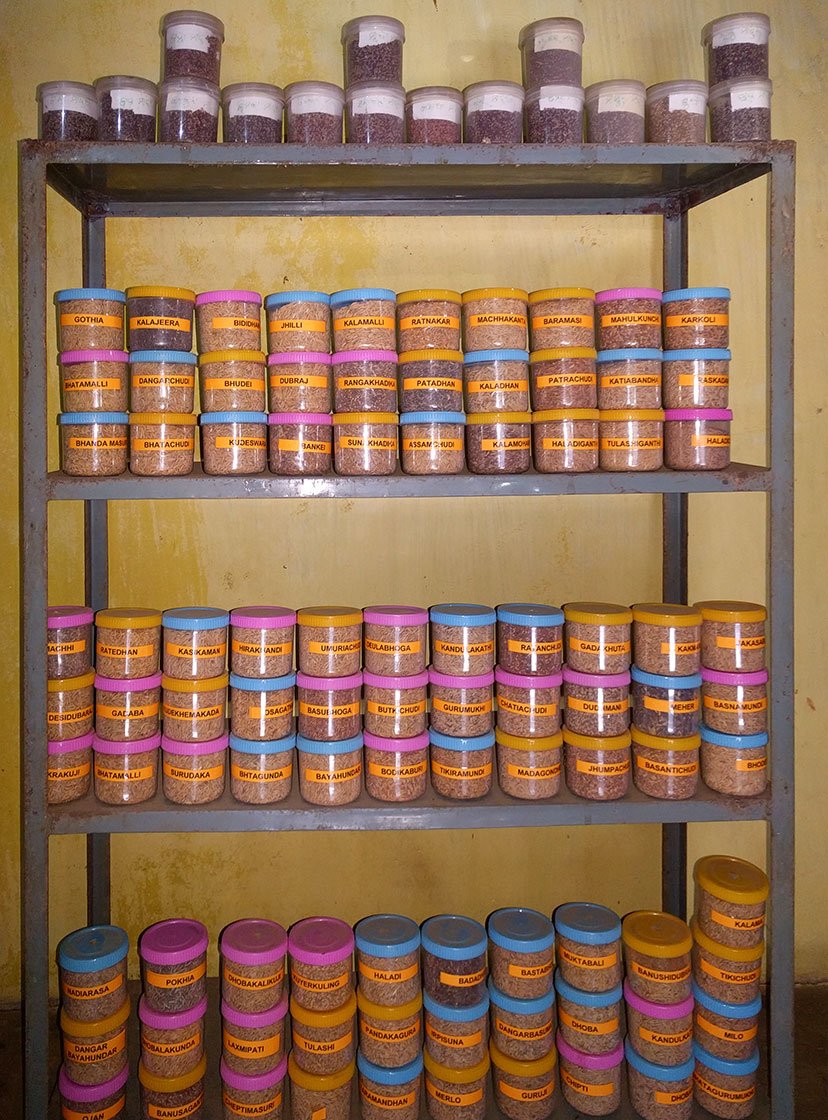 Advantage Of Storing Seeds In Seed Banks / 4 Advantages ...