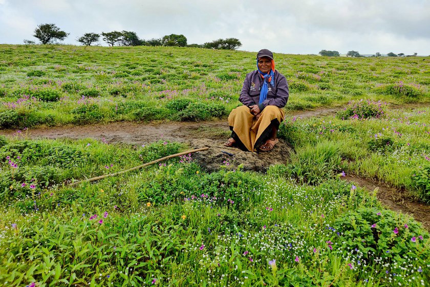 Sulabai Badapuri (left) is among the 30 people working on Kaas Plateau as guards, waste collectors, gatekeepers and guides with the Kaas forest management committee.