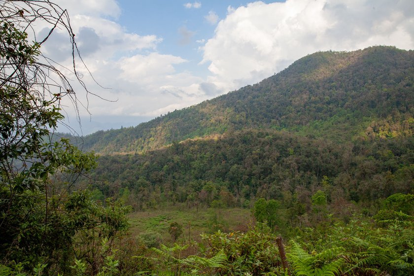 Inside the Singchung Bugun Village Community Reserve(SBVCR) in West Kameng, Arunachal Pradesh.