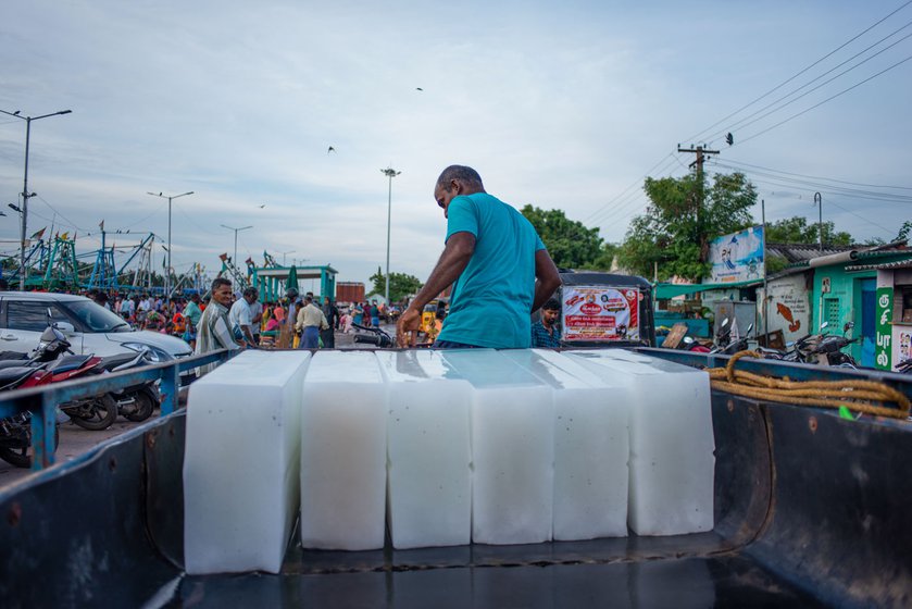 Kavitha's husband, Anbu Raj brings ice to the Cuddalore fish harbour in a cart (left) and unloads it (right)