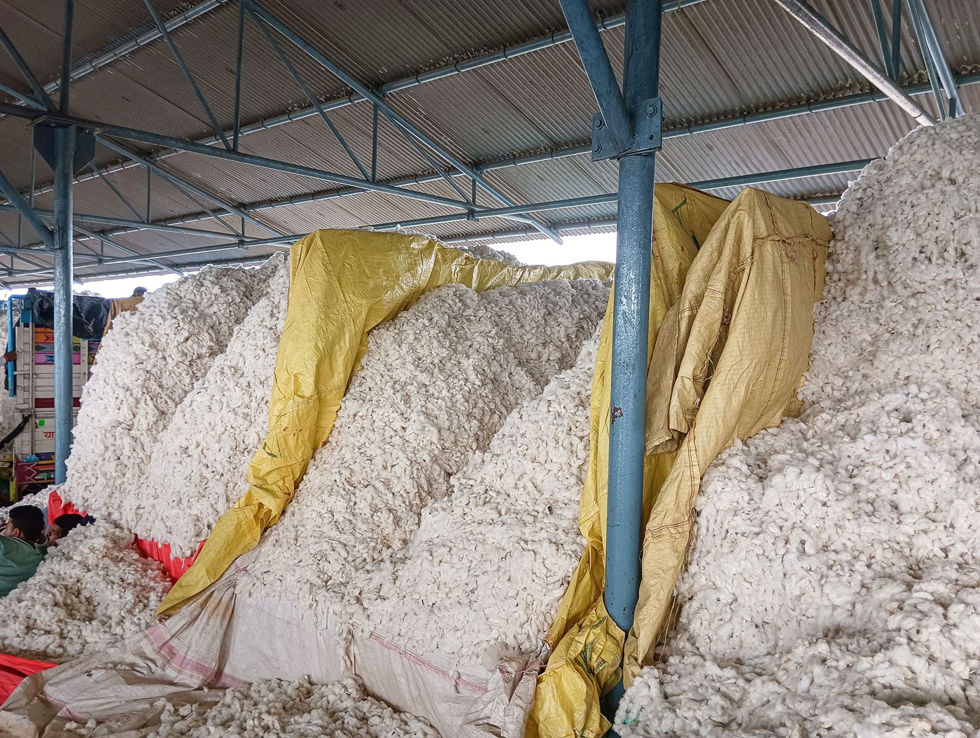 About Rs. 6 crore of cotton is purchased daily from Khargone's cotton mandi (right) from October-May
