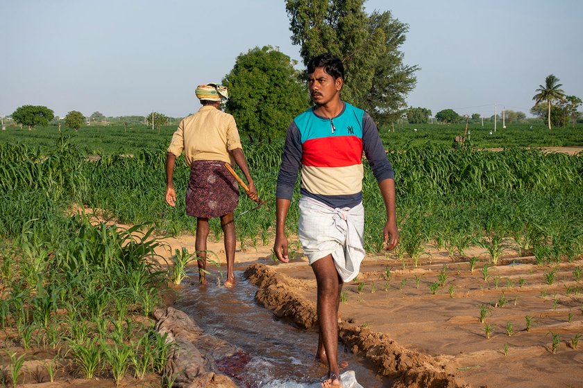 Pujarai Linganna with his son P. Honnureddy in their field