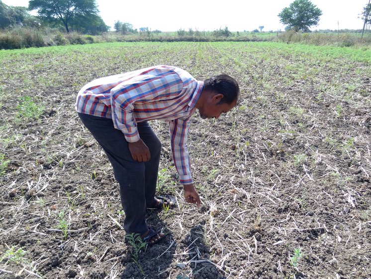 Namdeo Tarale of Dhamani village in Chandrapur district likens the wild animal menace to a new kind of drought, one that arrives on four legs and flattens his crop