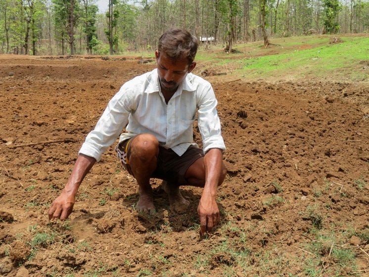 Paddy farmers Dharma Garel (left) and his son Raju: 'The rain has not increased or decreased, it is more uneven – and the heat has increased a lot'

