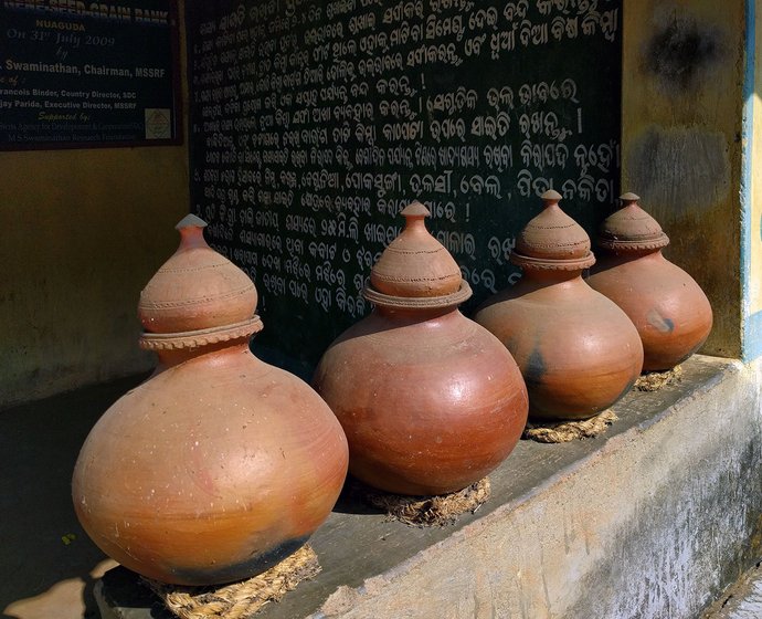 Seeds storage in Nuaguda seed bank. Seeds stored in earthen pots are treated with neem and custard apple leaves to keep pests and fungus away. Seeds stored in air-tight plastic jars are labelled. Currently in the seed bank, there are 94 paddy and 16 ragi varieties