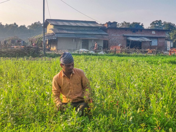 Rajendra Prasad in his farmland in Bankati, located on the border with Nepal. He wonders if his wife would have lived had the border not been sealed due to Covid-19 and they could have gone to the hospital there