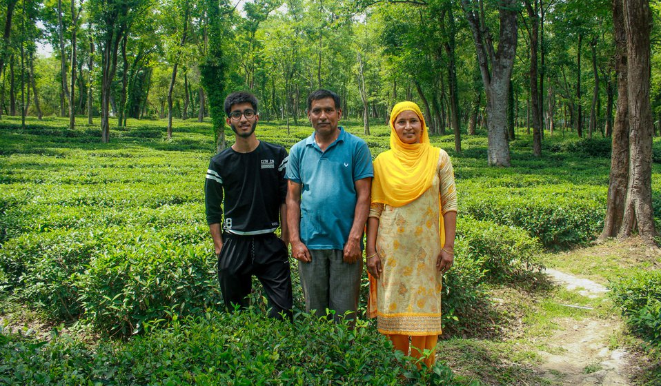 Rajinder searching for new leaves to pluck in the tea bushes. With his family (right), son Aryan and wife Sumna in their tea garden