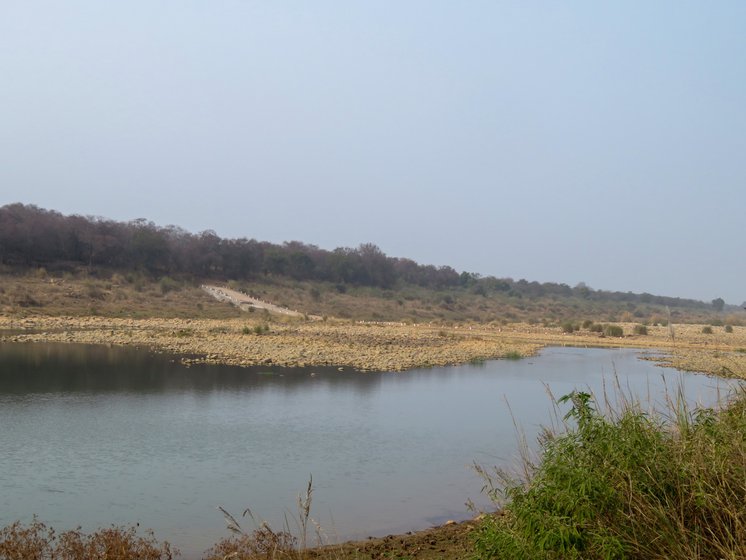 Right: The Kuno river runs through the national park, and the cheetah establishment where visitors are not allowed, is on the other side of the river