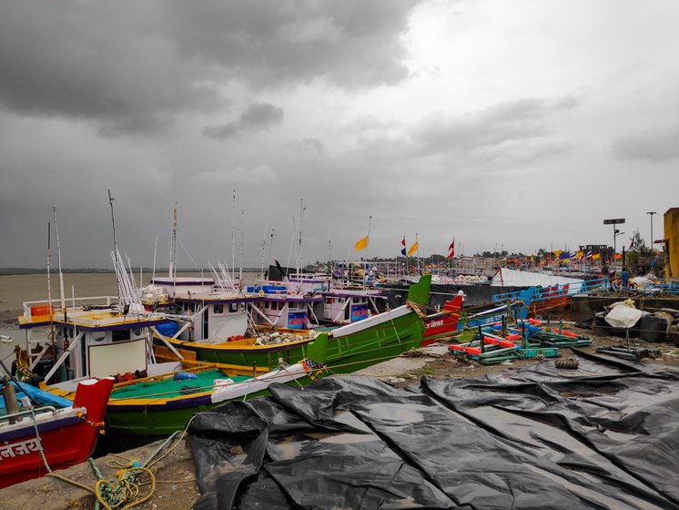 With fewer boats (left) setting sail from Satpati jetty, the Bombay duck catch, dried on these structures (right) has also reduced