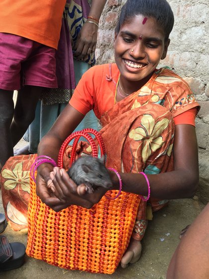Baby rats are especially popular as pets among the Irula Adivasis in Bangalamedu hamlet – Dhaman, S. Amaladevi and Sakthivel (left to right) with their pets

