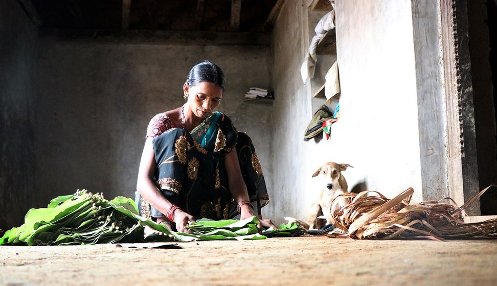 Tulshi making bundles out of the palash leaves