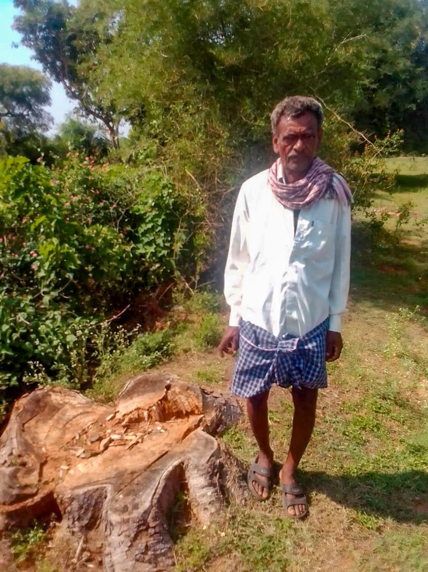 Right: Subbaiah had to sell the beloved banyan tree he planted and nurtured on his field to raise funds for Mahadevamma’s medical treatment