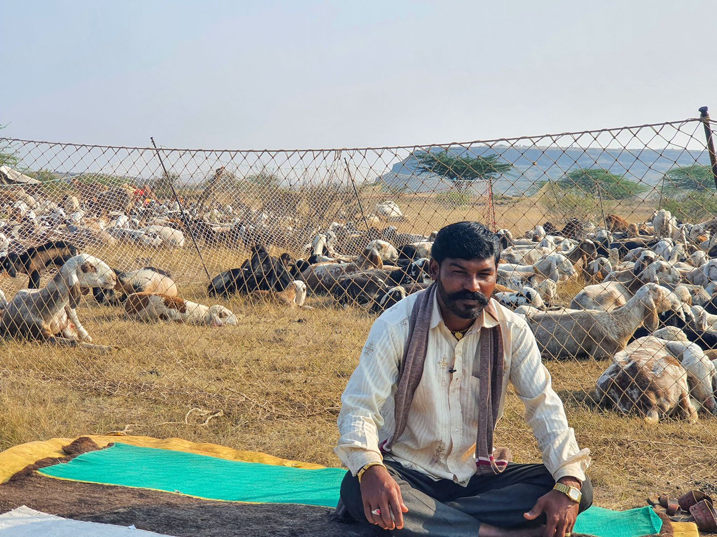 Shepherd Gangaram Dhebe lost 13 animals to heavy rains on the night of December 1, 2021. 'We have no shelter,' he says