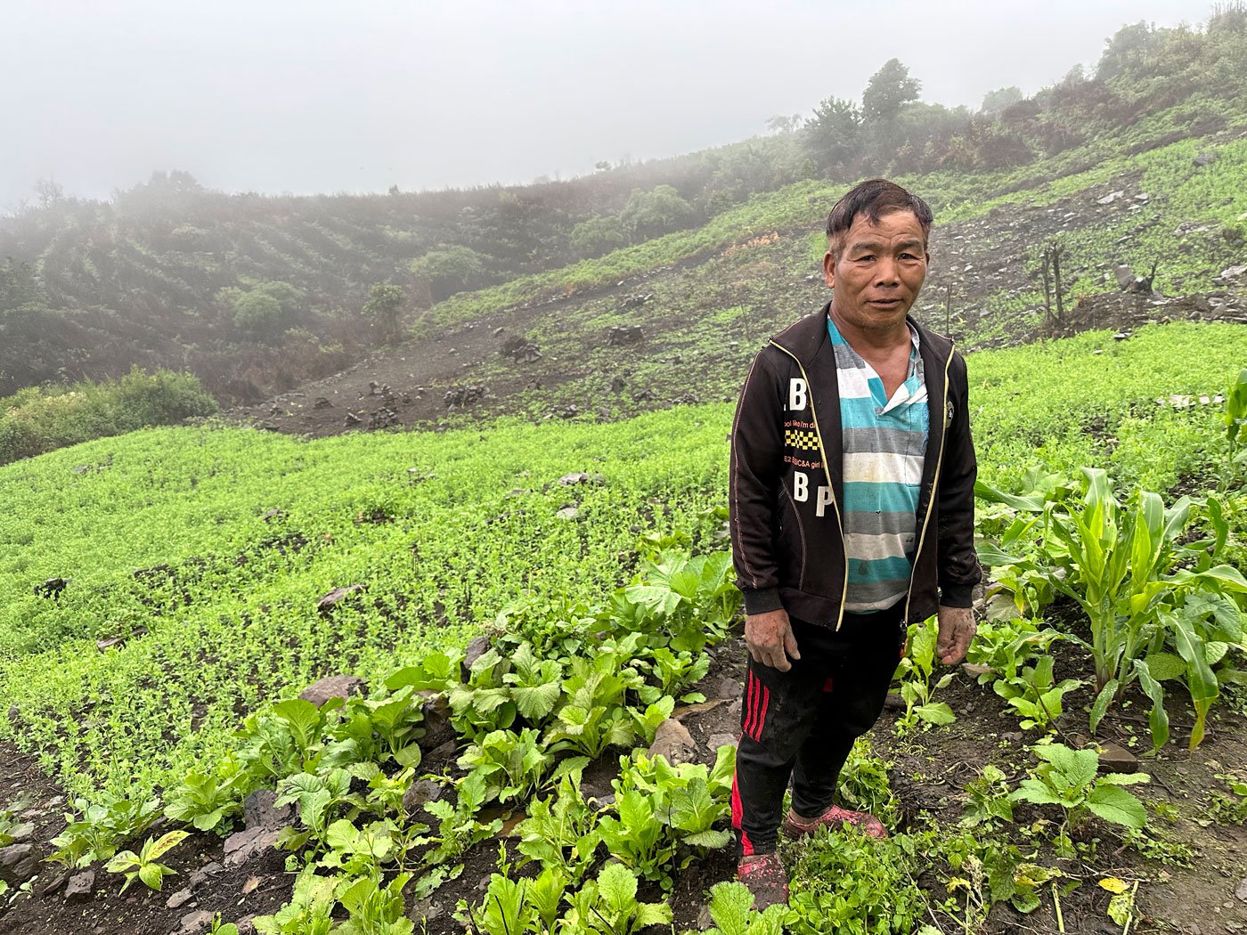 Demza, a farmer who used to earn up to three lakh rupees annually growing poppy, stands next to his farm where he grows cabbage, bananas and potatoes that he says is not enough to support his family, particularly his children's education