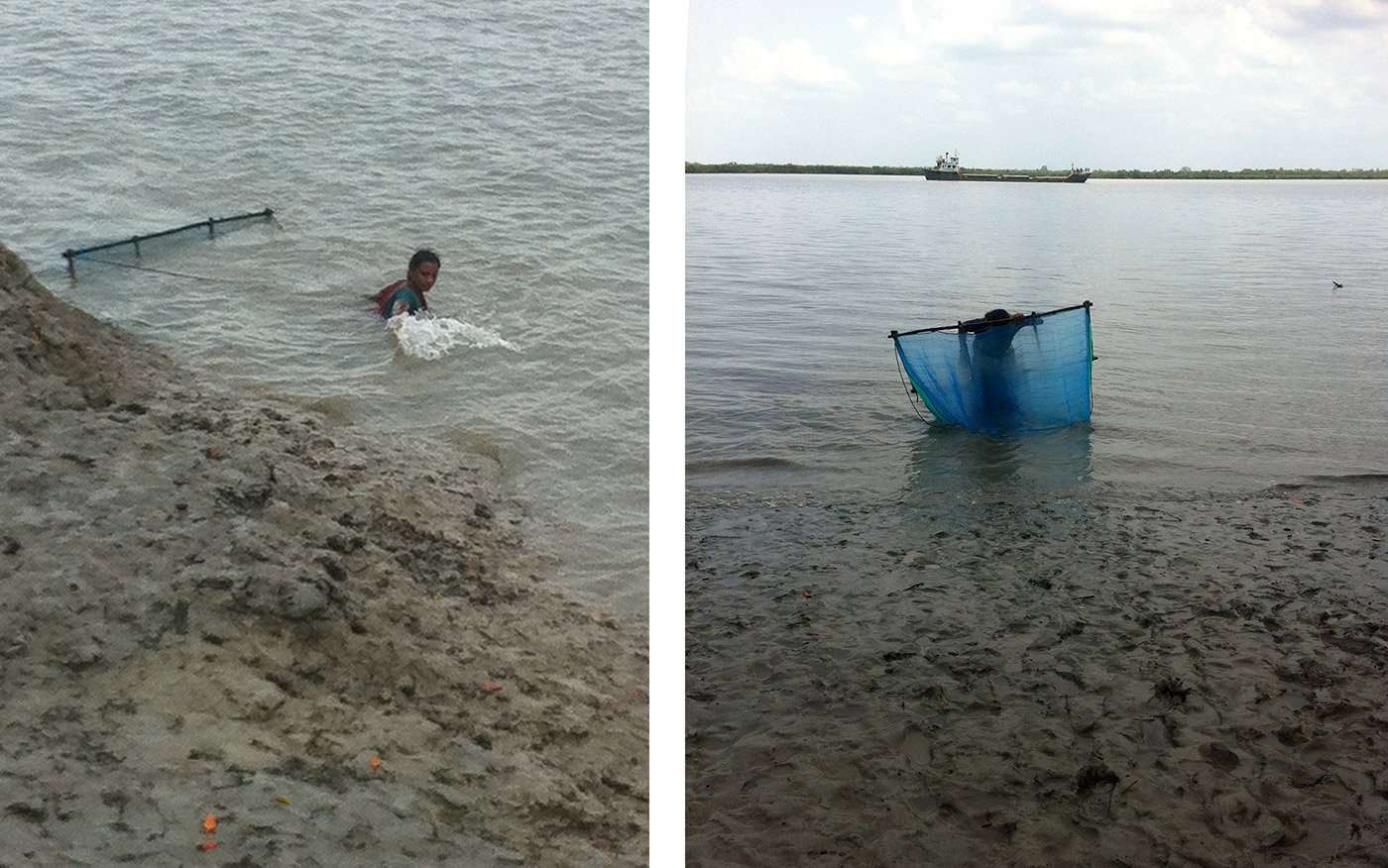 Left: The people who collect tiger prawn seedlings spend close to five hours in the water to get a sufficient catch. Right: A woman drags her net into the river at low tide, which is the best time to gather the seedlings