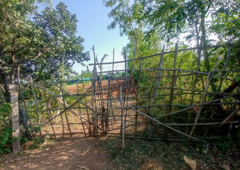 Left: Entrance to Prakash's field 6-7 kilometres away from their home.