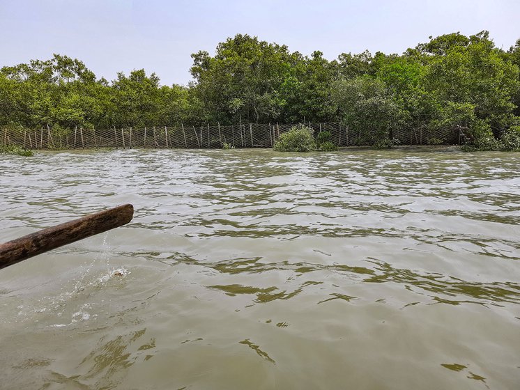 Left: A cross netted fence, beyond which lie the Marichjhapi forests in South 24 Parganas district.