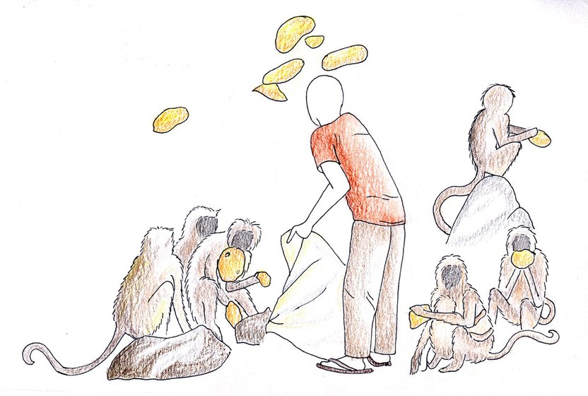 Illustration of Jhujaram Dharmiji Sant feeding the langurs rotis