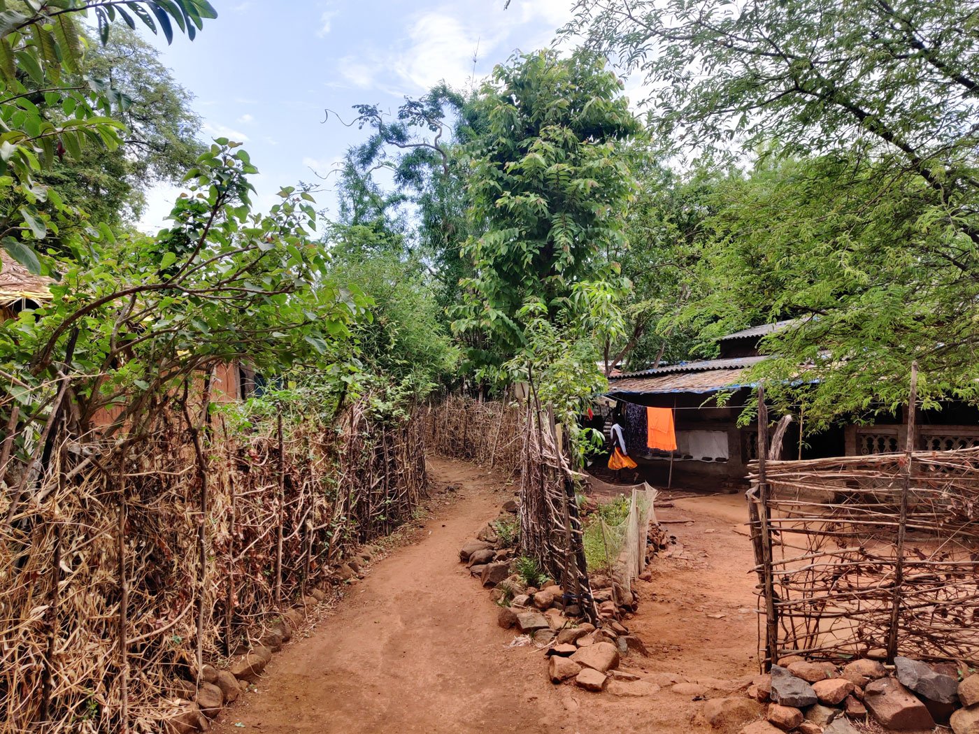 Most students with smartphones are aged 16 and above in Dongari village, where the zilla parishad school (right) is up to Class 8