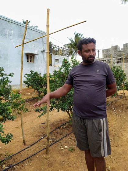 Manjunath Gowda has been a pomegranate farmer all his life. His wife, Priyanka also started farming after their marriage