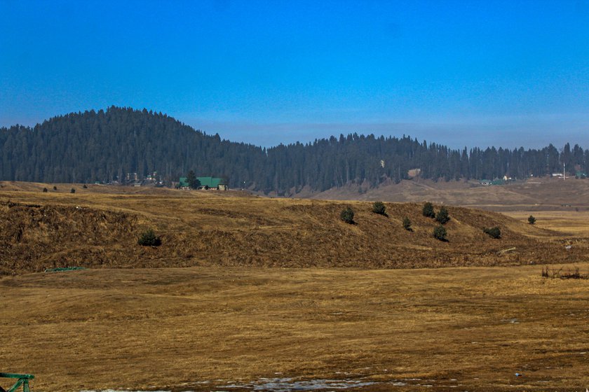 Left: Gulmarg in January 2024; normally there is 5-6 feet of snow covering this area.