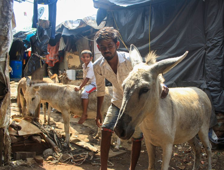 Left: Anand Jadhav and his little cousin Yuvraj Shinde, both used to the donkeys in their midst. Right: Sukhdev and Jayshri with their menagerie 


