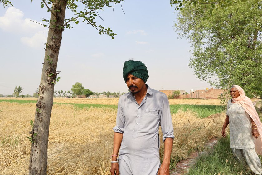 Left: Baldev Kaur’s eldest son Baljinder Singh had taken a loan to rent 10 acres of land.