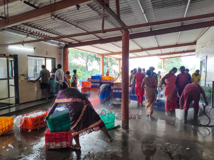 At the cooperative society ice factory (left) buying ice to pack and store the fish (right): Satpati’s fisherwomen say the only support they receive from the co-ops is ice and cold storage space at nominal rates