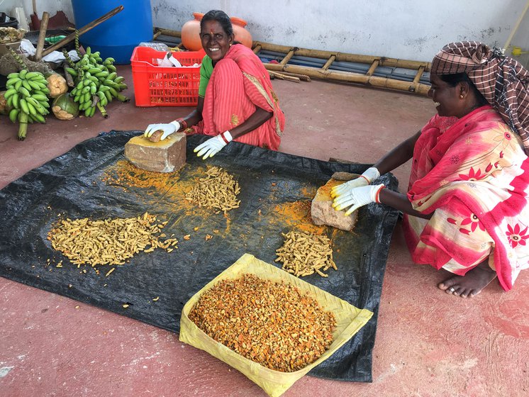 Mahadevamma (left) in happier times pounding turmeric tubers to bits. She used to earn Rs. 200 a day working on neigbouring farms before her fracture and subsequent injuries left her crippled.