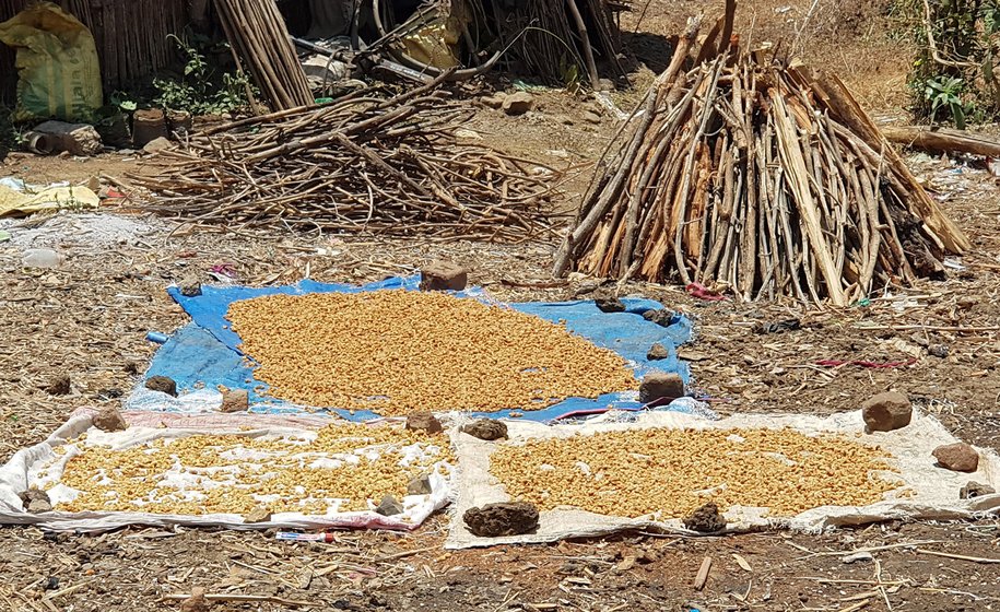 In Boranda, a group sat talking about the present situation. The annual market, where some of the Katkaris sell mahua (right), was cancelled due to the lockdown