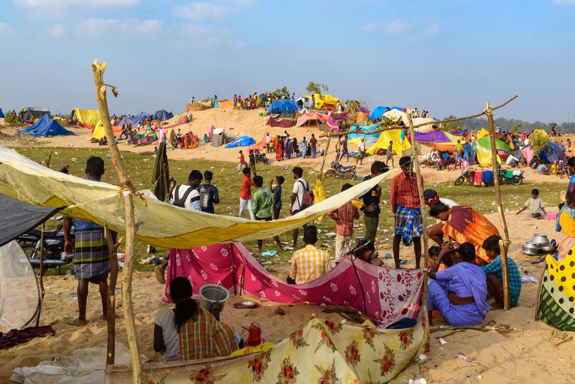 Every year, in the Tamil month of Maasi, Irulars from across Tamil Nadu gather on the beaches of Mamallapuram where they set up tents made of thin sarees and tarpaulin, held in place using freshly cut stalks from nearby trees