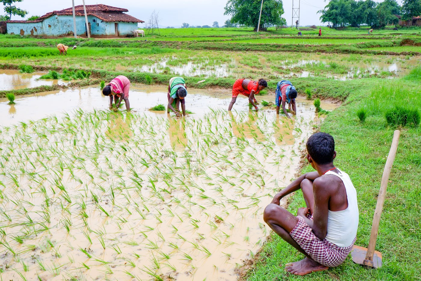 In Jharkhand's Palamu, too many leases on life