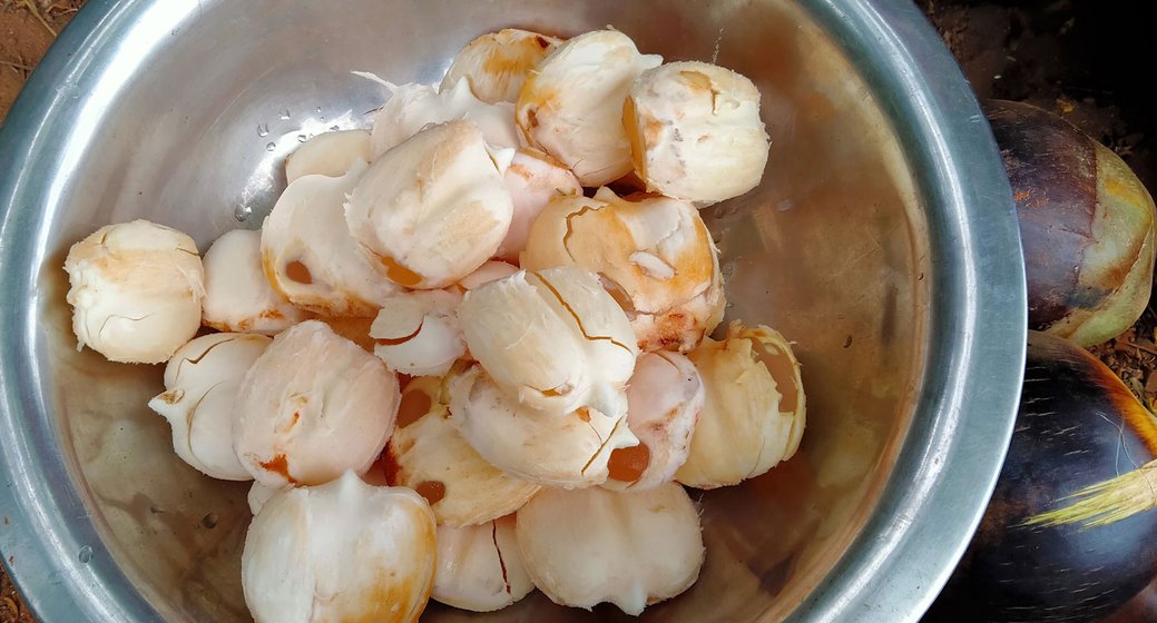 Inside the unhusked thaati kaaya is the munjalu fruit. It's semi-sweet and juicy, and in great demand during summers – even more than toddy – said Pappala Rao

