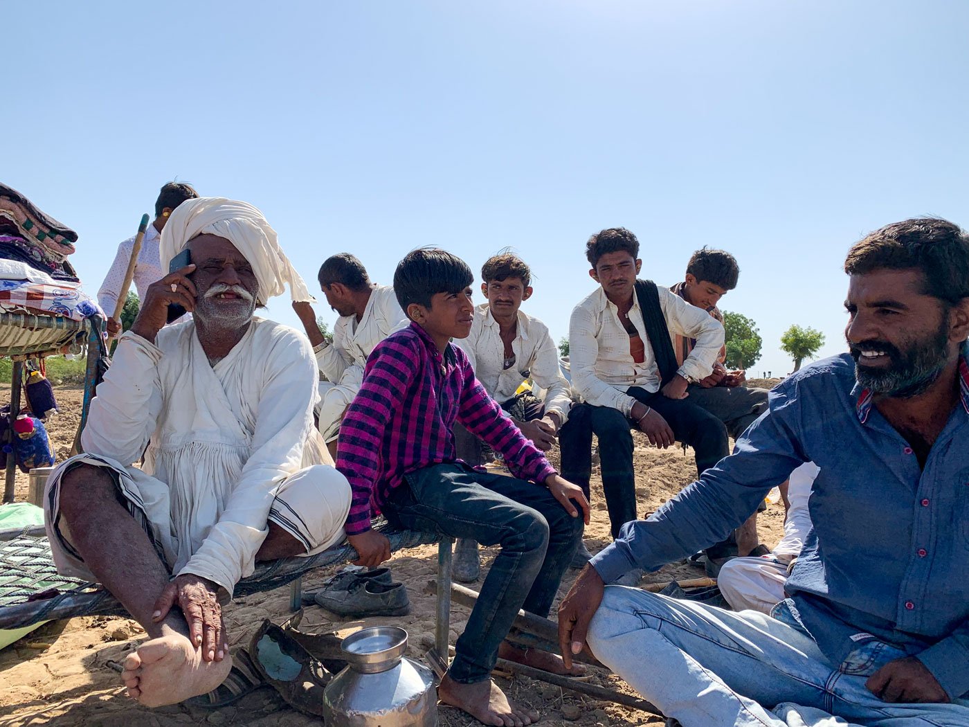 counting-sheep-as-grasslands-shrink-in-gujarat